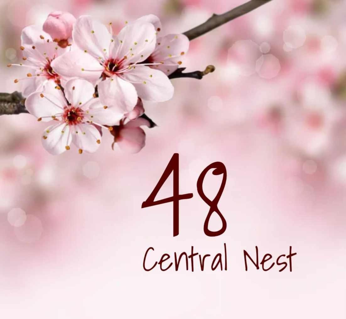 48 Central Nest Volos Exteriér fotografie